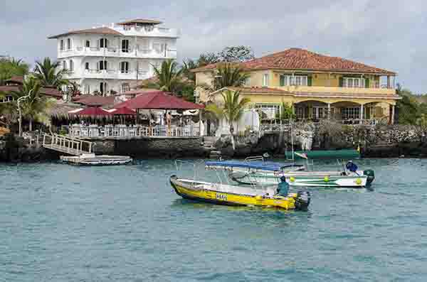 87 - Ecuador - islas Galapagos - isla Santa Cruz - Puerto Ayora